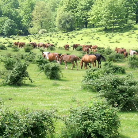 Romantic Hideaway In Lazio 別荘