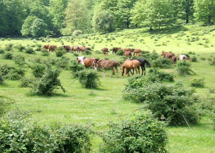 Romantic Hideaway In Lazio 度假居